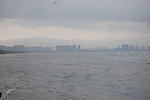 大海