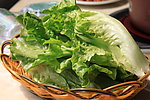 生菜