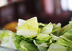 生菜