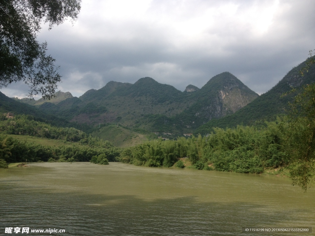 贵州甲茶风景