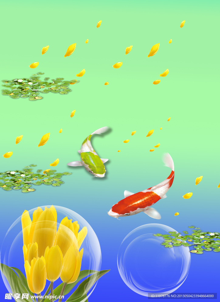 鲤鱼