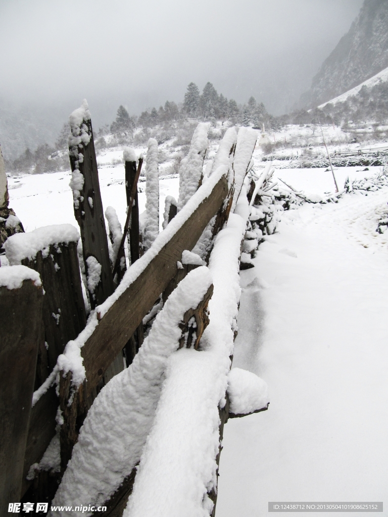 雪景