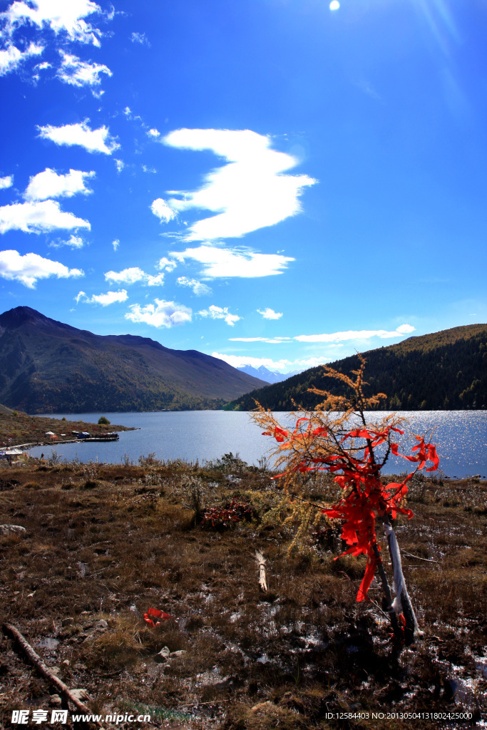 湖水景观