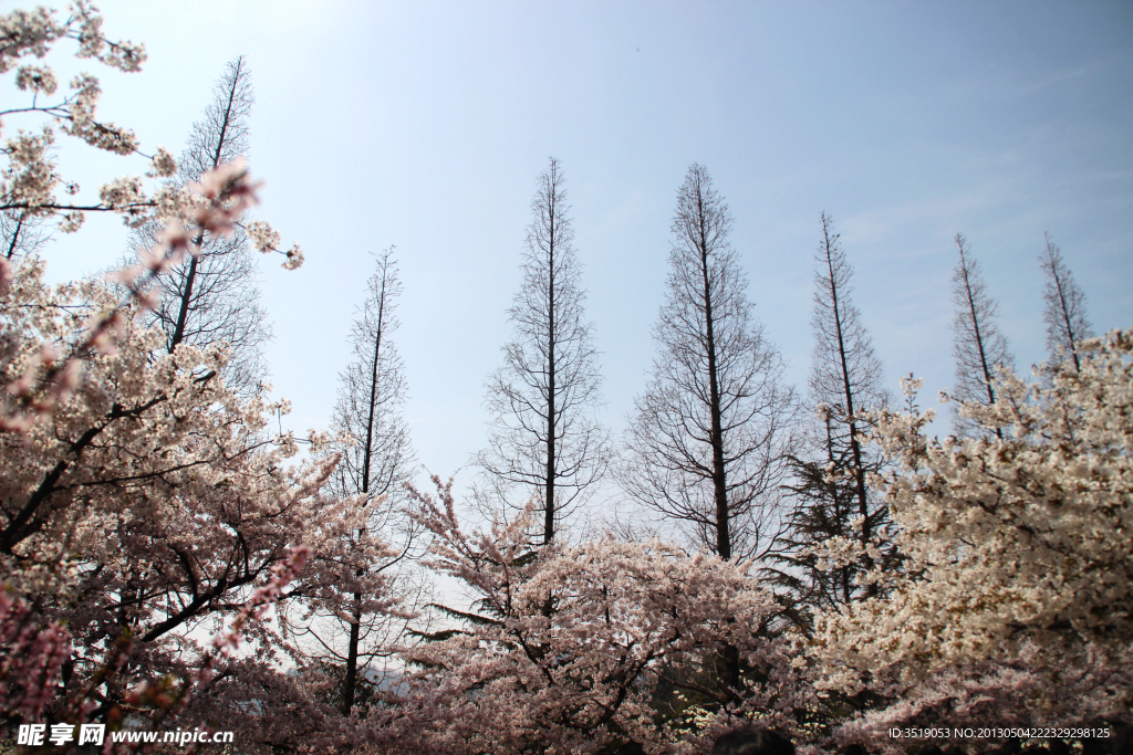 春日公园