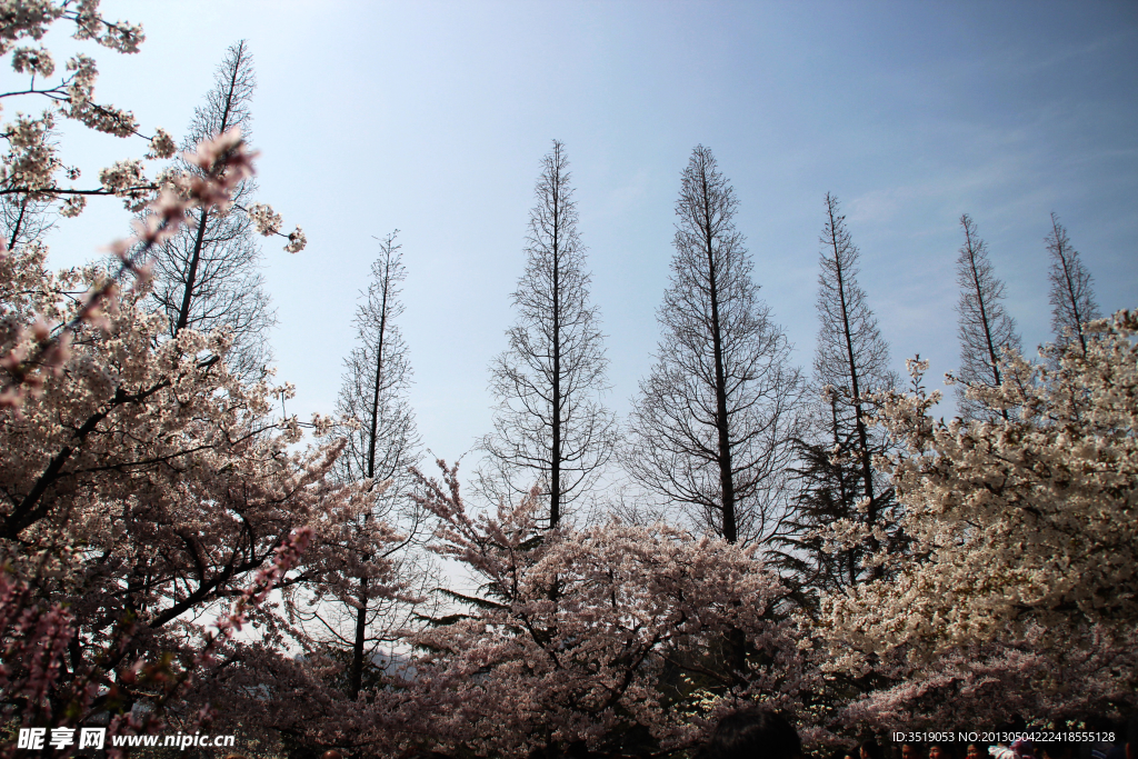 春日公园