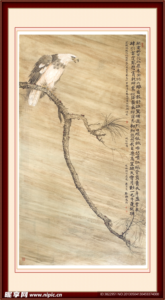 老鹰 工笔画