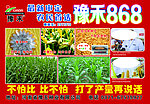 豫禾868