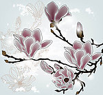 木棉花插画设计