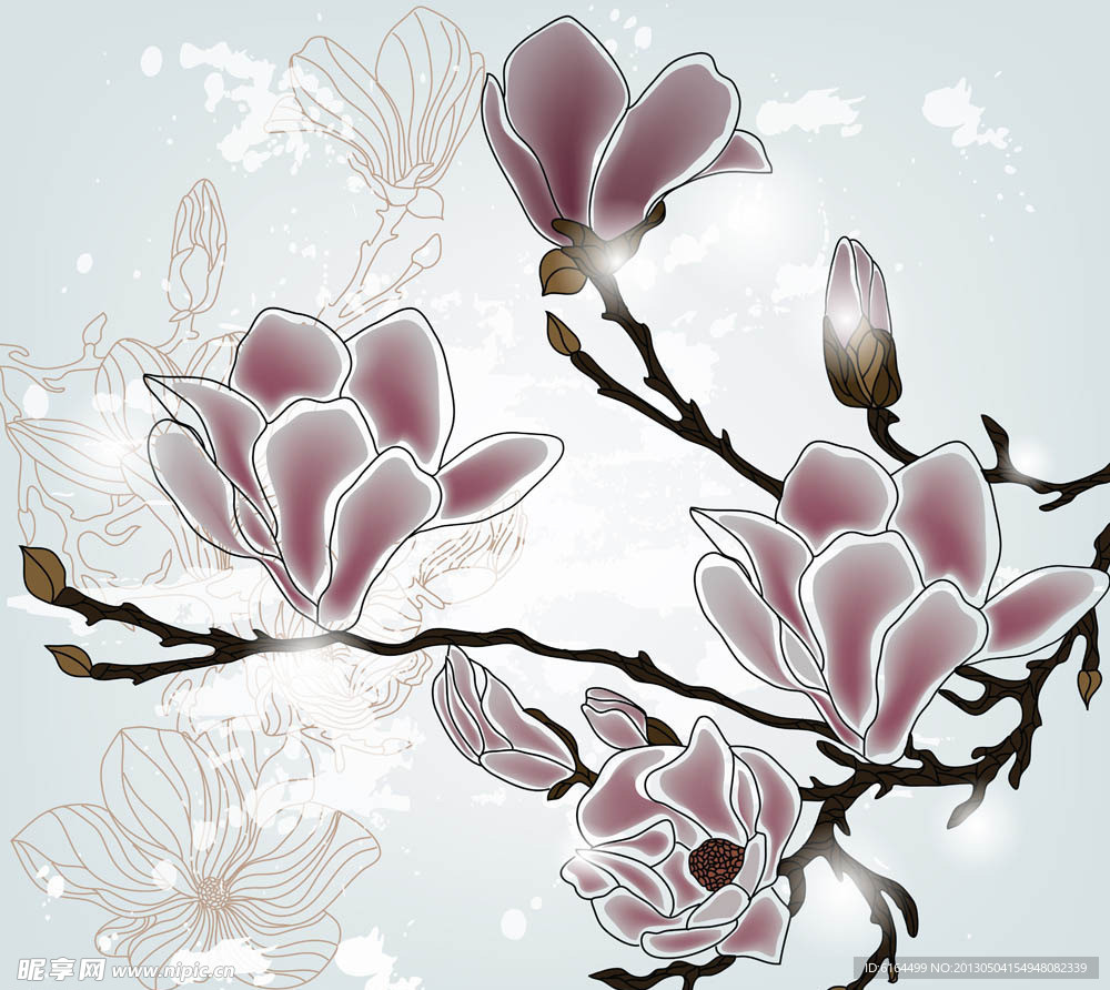 木棉花插画设计