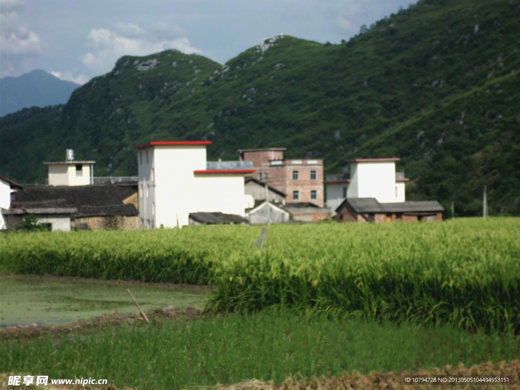 美丽的乡村