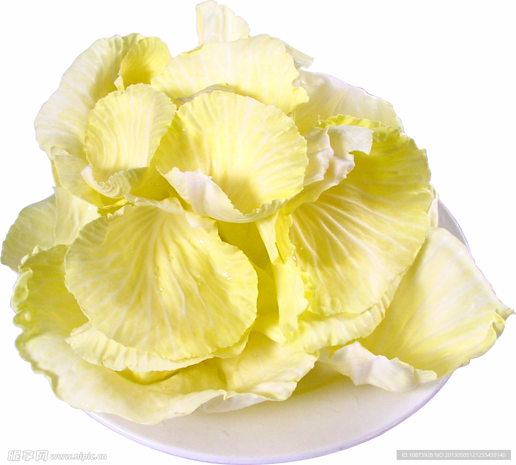 圆白菜