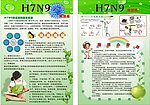 H7N9禽流感宣传单