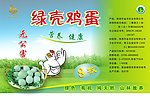 绿壳鸡蛋
