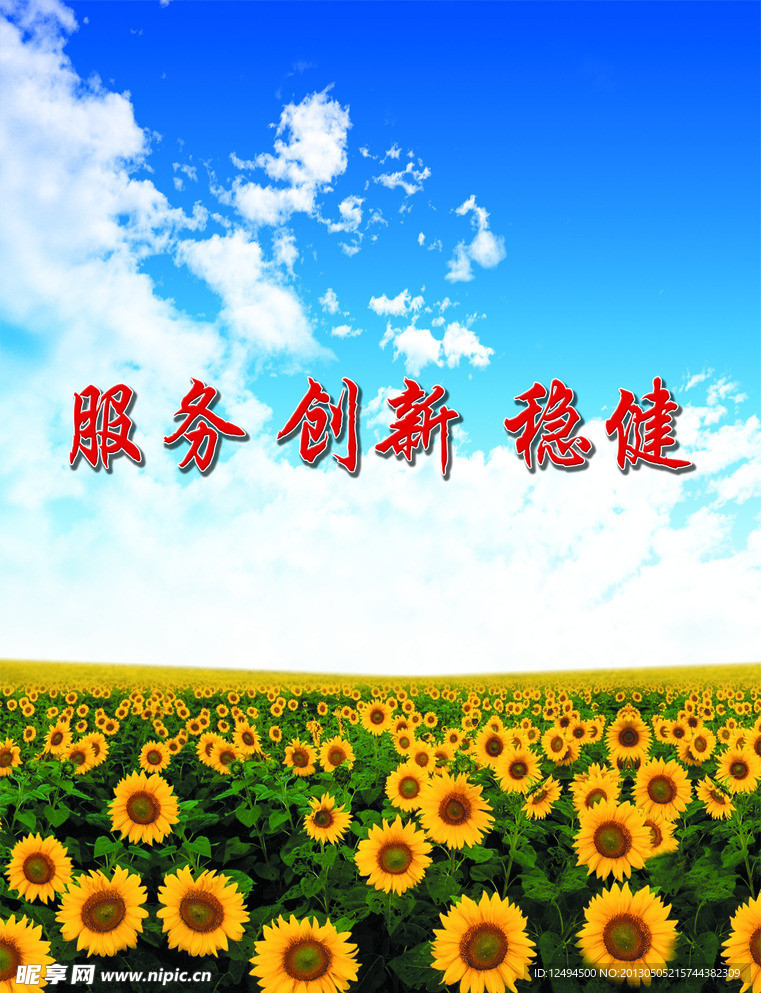 葵花蓝天白云