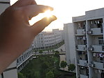 手上的太阳