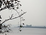 枯枝 远景