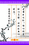 国税展板