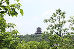 山顶风景