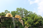山水风景