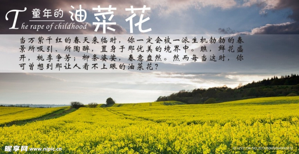 风景宣传卡