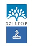 字母S形logo