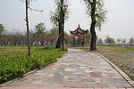 大理石地面