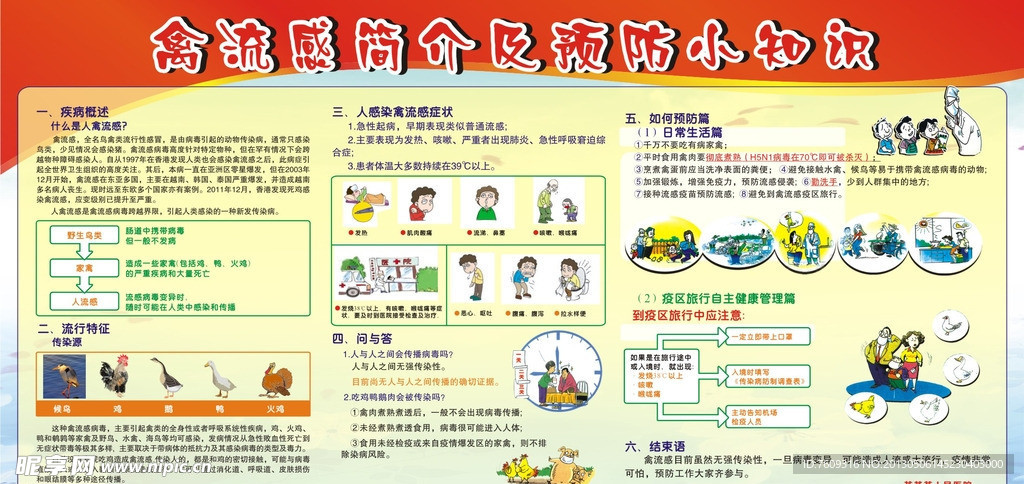 禽流感广告
