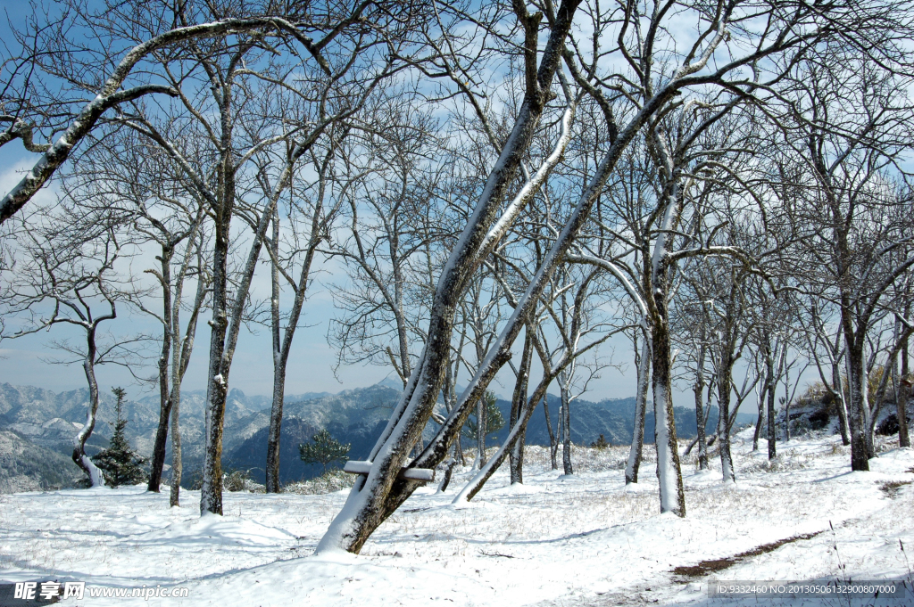 雪景