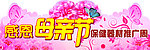 感恩 母亲节 康乃馨