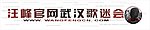 汪峰歌迷会