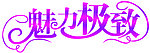 魅力极致
