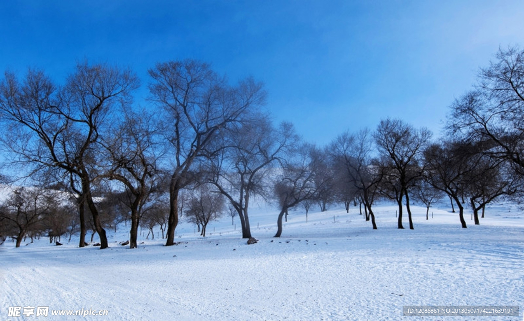 雪景