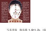面部图