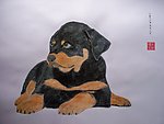 黑狗 犬 水粉国画