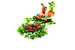 干烧肉