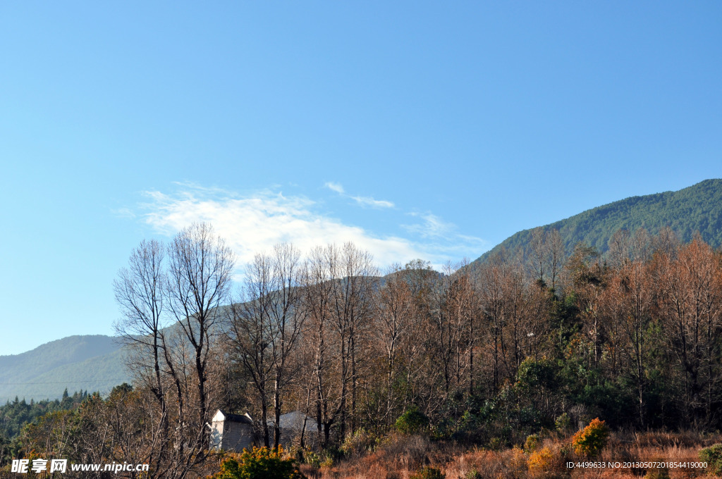 苍山风景