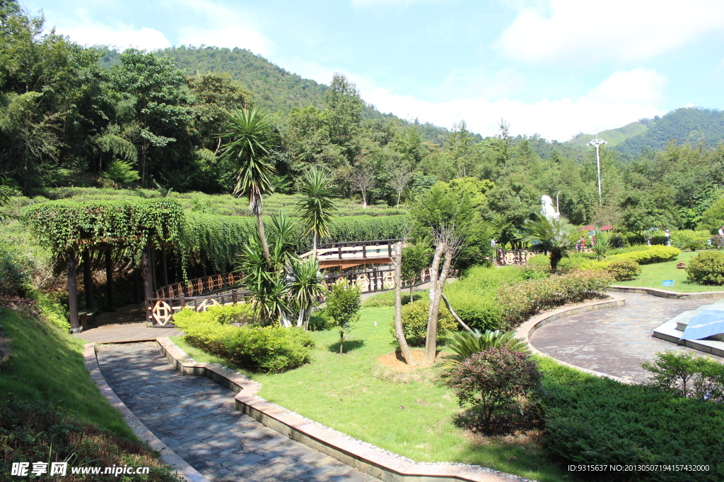 福建龙岩漳平九鹏溪