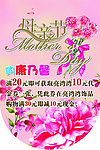 母亲节 康乃馨