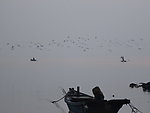 鸽子窝 日出
