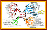 数学思维导图