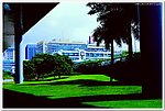 中国桥梁 城市交通