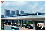 中国桥梁 城市高架桥