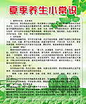 夏季养生小常识