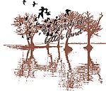 潮流印花图案