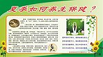 夏季养生保健