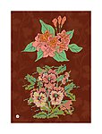 花纹