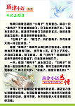 顶津小语