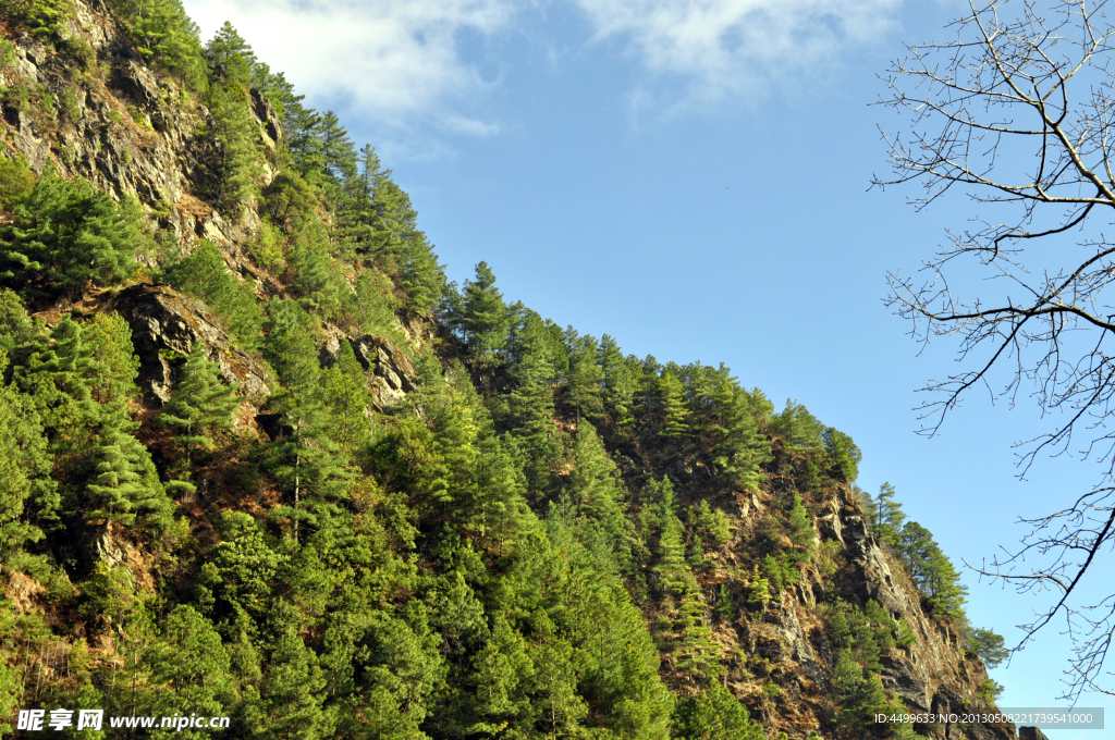 苍山风景