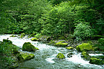 小溪流水