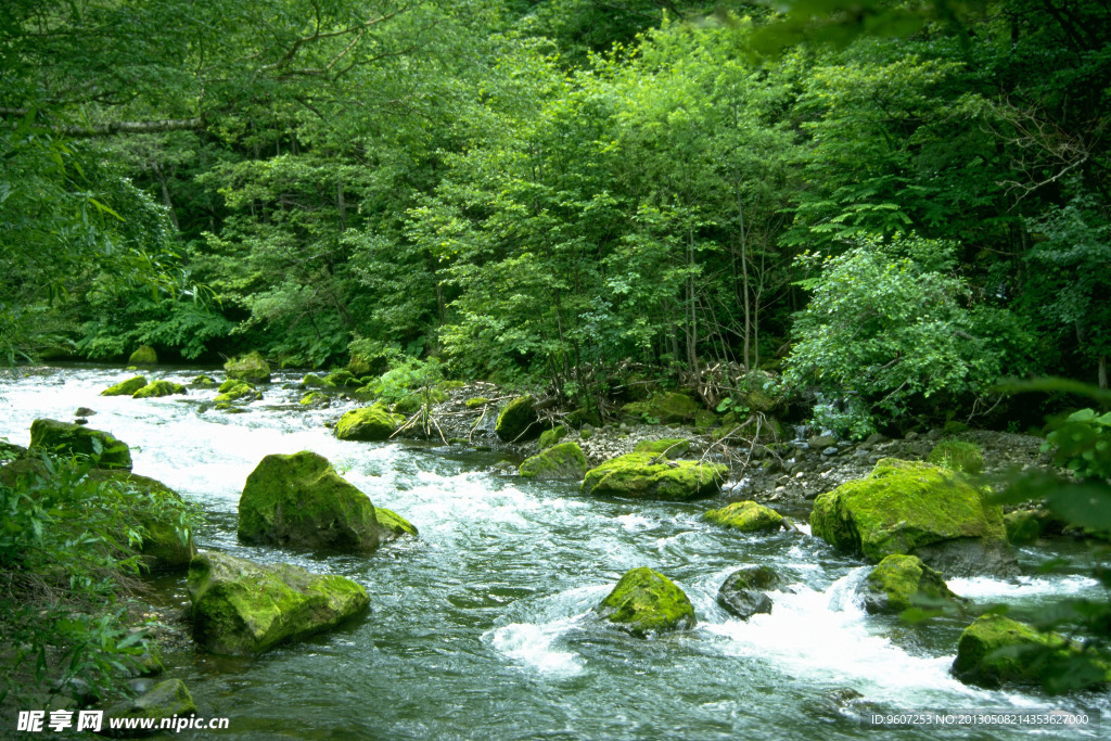 小溪流水